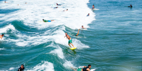 Venice Beach Fun-12-XL